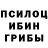 Псилоцибиновые грибы GOLDEN TEACHER Ulyana Kinzhybalo