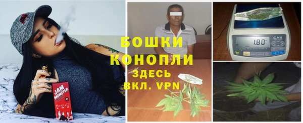 бошки Дмитриев