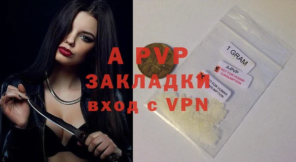 меф Ельня