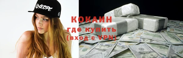 меф Ельня