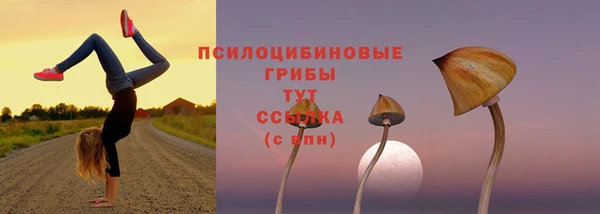 меф Ельня