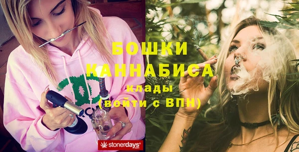 дживик Елизово
