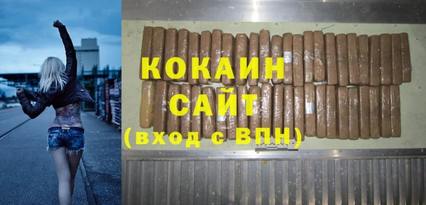 меф Ельня