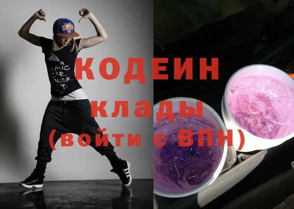 меф Ельня