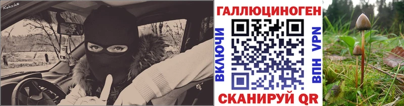 где продают   блэк спрут как зайти  Галлюциногенные грибы Magic Shrooms  Канск 
