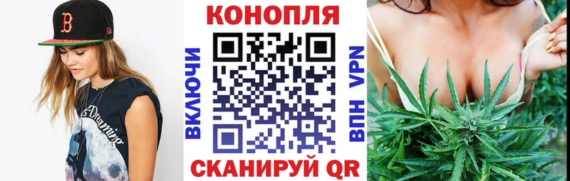 Конопля THC 21%  Канск 